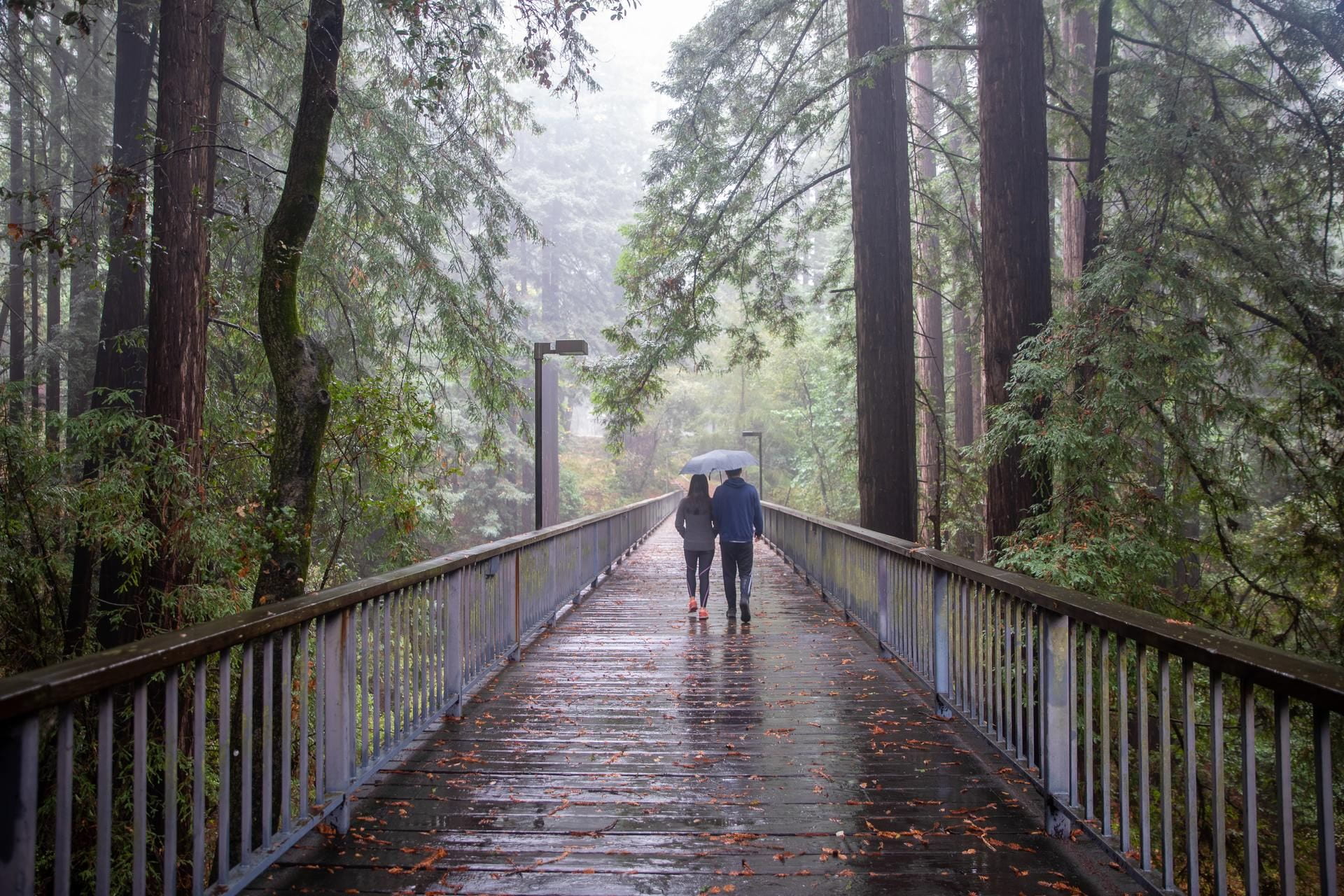 Students walking across the bridge in the rain on the UCSC campus.