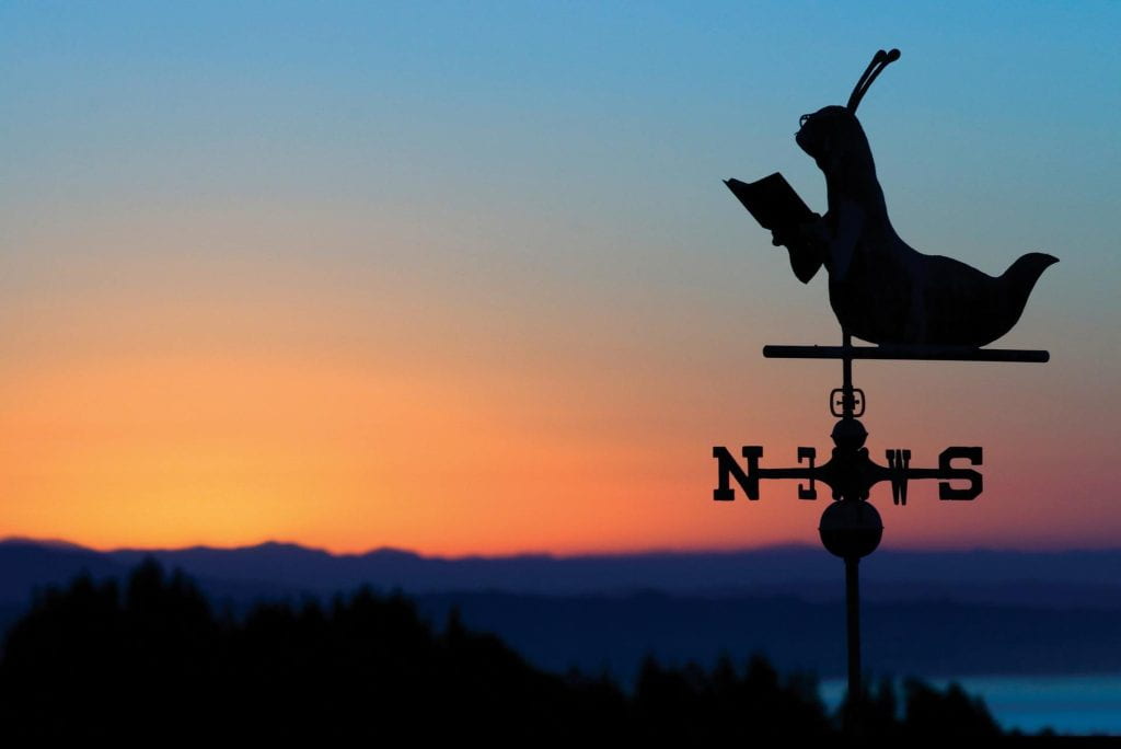 A weathervane featuring the UCSC mascot, Sammy, silhouetted on a colorful sunset.