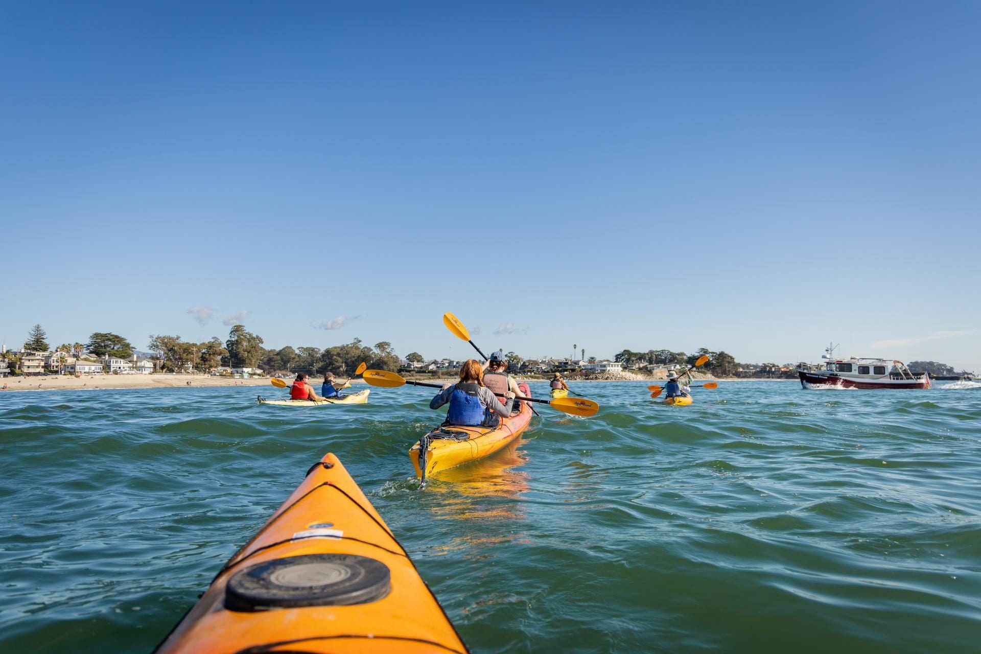 A view from a kayak to other kayakers near UCSC.