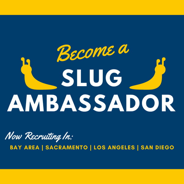 Slug Ambassador Square Promo