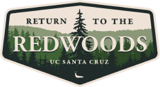 Return to the Redwoods Logo